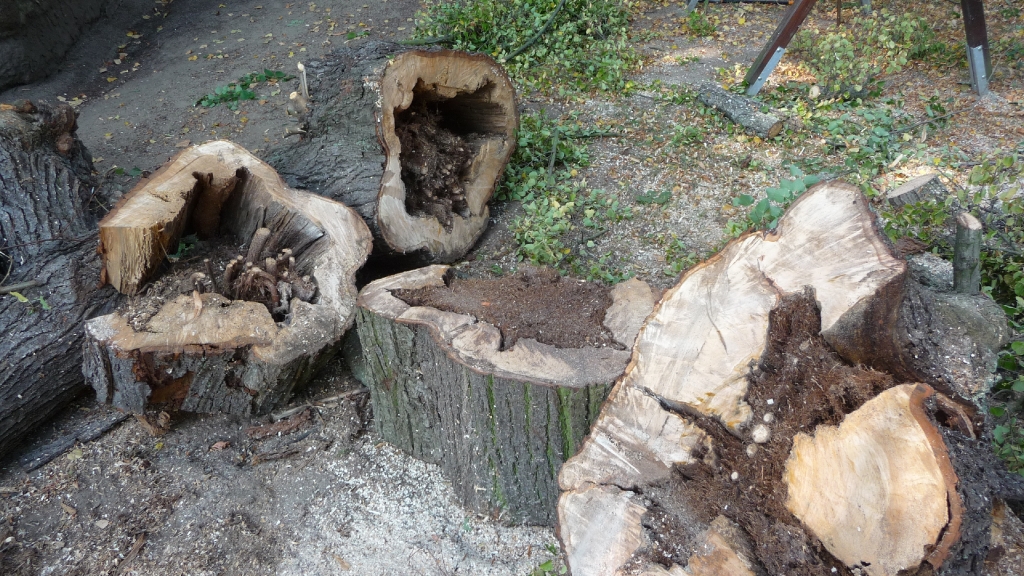 Friedhof 6