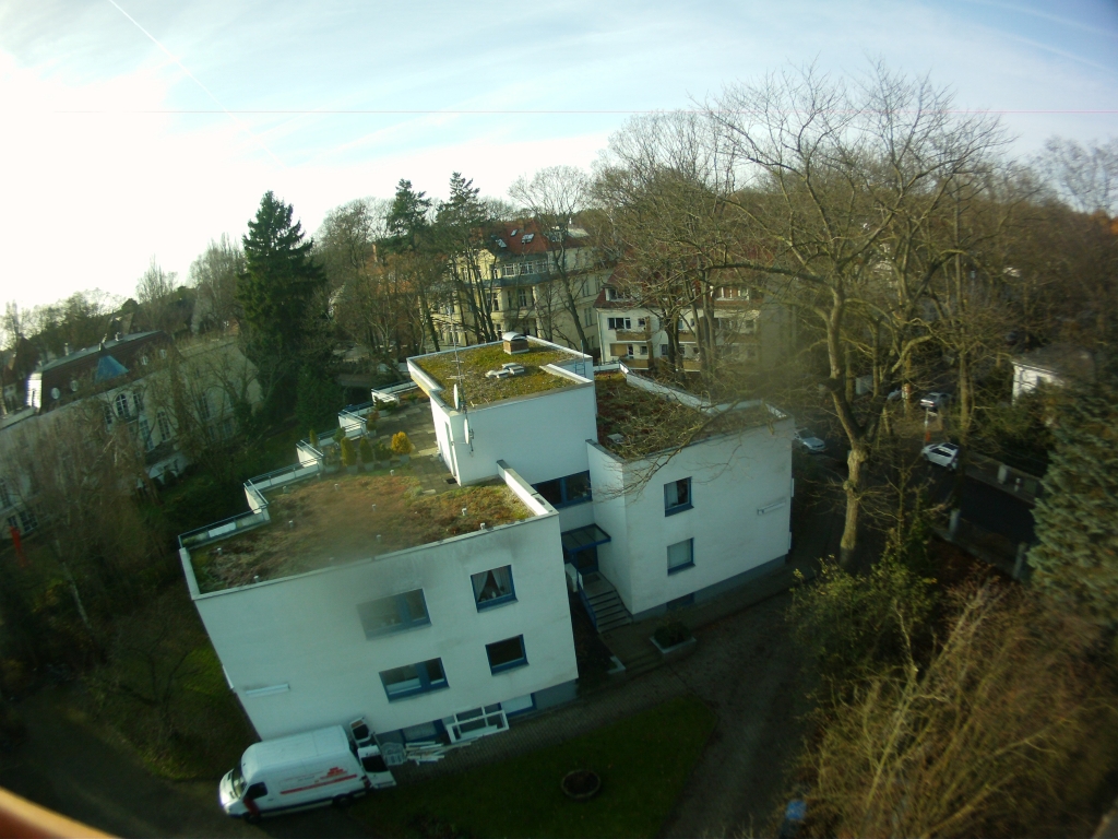 Baumfällung Berlin 8