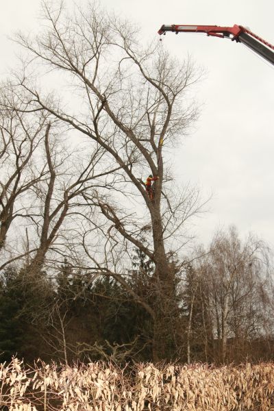 Anschlagen der Krone