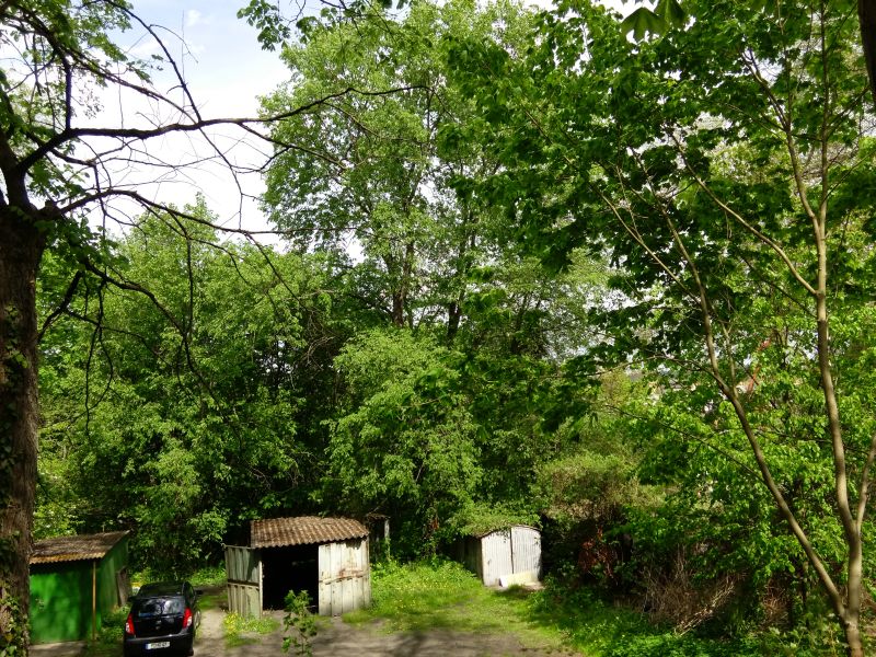 Vorplatz vorher 2