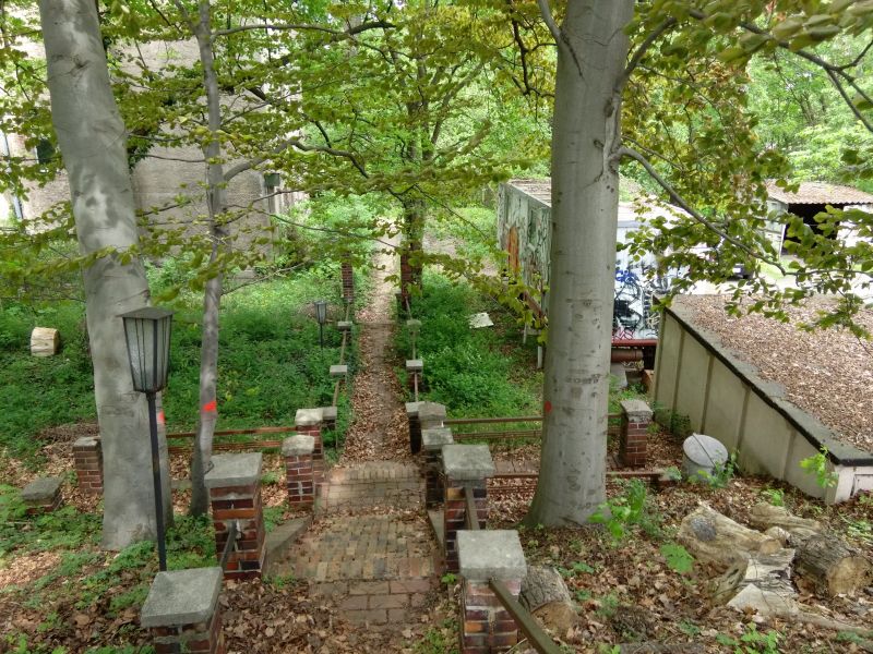 Treppe vor der Fällung
