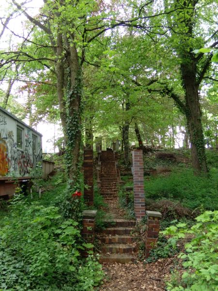 Treppe vor der Fällung 2