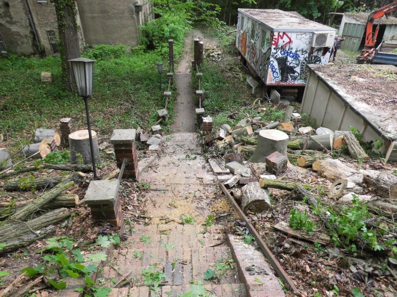 Treppe nach der Fällung