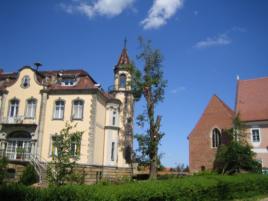 Sturmschädenbeseitigung 3