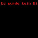 2015-05 - Baumfällungen Potsdam